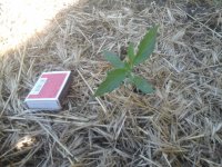 20170604_093419.jpg