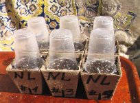 IMGA0344.JPG