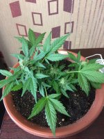 20170526_105903239_iOS.jpg
