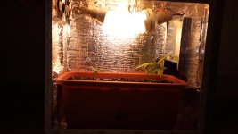 IMG_20170605_162025.jpg