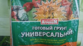 589da44d567d8_20170210_154912.jpg