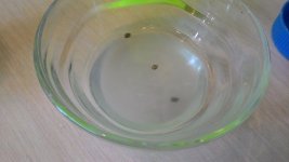 P_20170603_145719.jpg