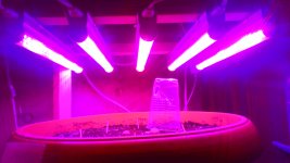 P_20170606_195228.jpg