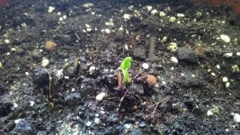 P_20170607_135958.jpg