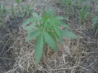 20170608_203935.jpg