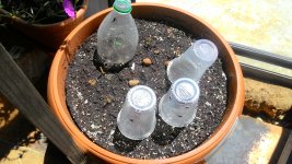 P_20170608_131851.jpg