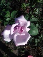 image22.jpg