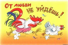 174168178.p.800.800.0.jpg