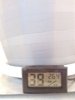 IMG_20170611_194408.jpg