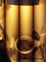 IMG_20170611_194331.jpg