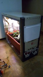 IMG_20170612_062425_2.jpg