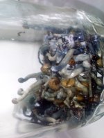 IMG_20170614_164400 (1).jpg