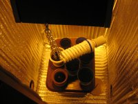 IMG_2243.JPG IMG_2243.JPG