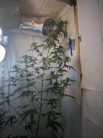 ак-48 48 дней.jpg