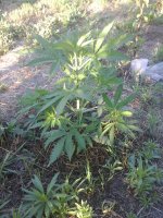 20170619_055203.jpg