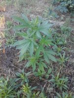 20170619_055210.jpg