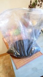 IMG_20170620_180644.jpg