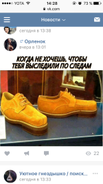 IMG_0699.PNG