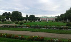 IMG_7990.JPG