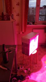IMG_20170622_222552.jpg