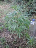 20170623_052041.jpg