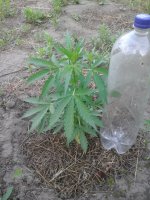 20170623_052122.jpg