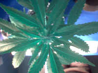 vlcsnap-00003.png