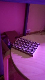 IMG_20170624_002434.jpg
