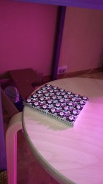 IMG_20170624_002427.jpg