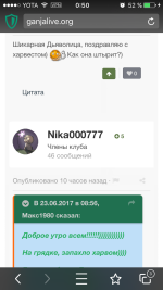 IMG_1241.PNG