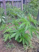 Photo0208.jpg