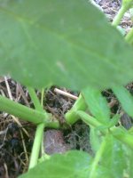 Photo0294.jpg