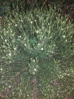 20170622_210451.jpg