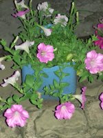 20170622_205830.jpg