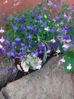 20170625_173629.jpg