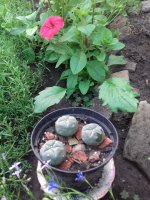 20170625_173553.jpg