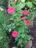 20170625_173544.jpg