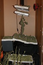IMG_9251.JPG