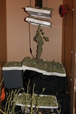 IMG_9252.JPG