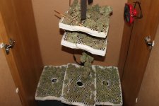 IMG_9253.JPG
