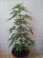 20170602_101534.jpg