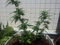 20170602_101638.jpg
