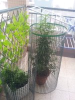 20170702_060635.jpg