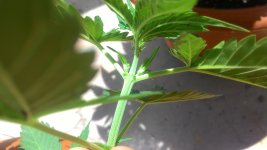 P_20170702_140609.jpg