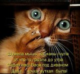 176812431.p.800.800.0.jpg