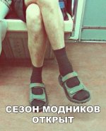 176802204.p.800.800.0.jpg