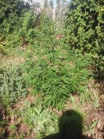 20170705_071610.jpg