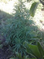 20170705_071634.jpg