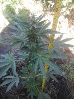 20170705_071410.jpg