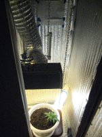 IMG_2304.JPG